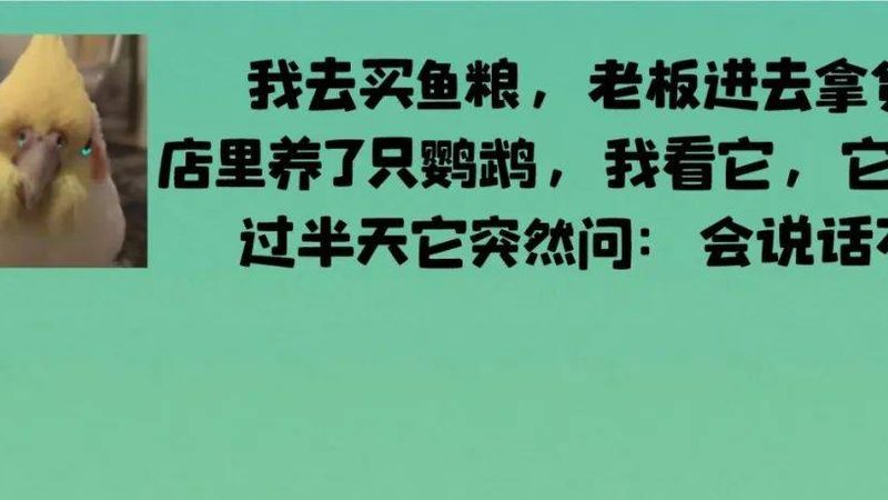 婚礼伴手礼曲奇饼干定制的独特魅力